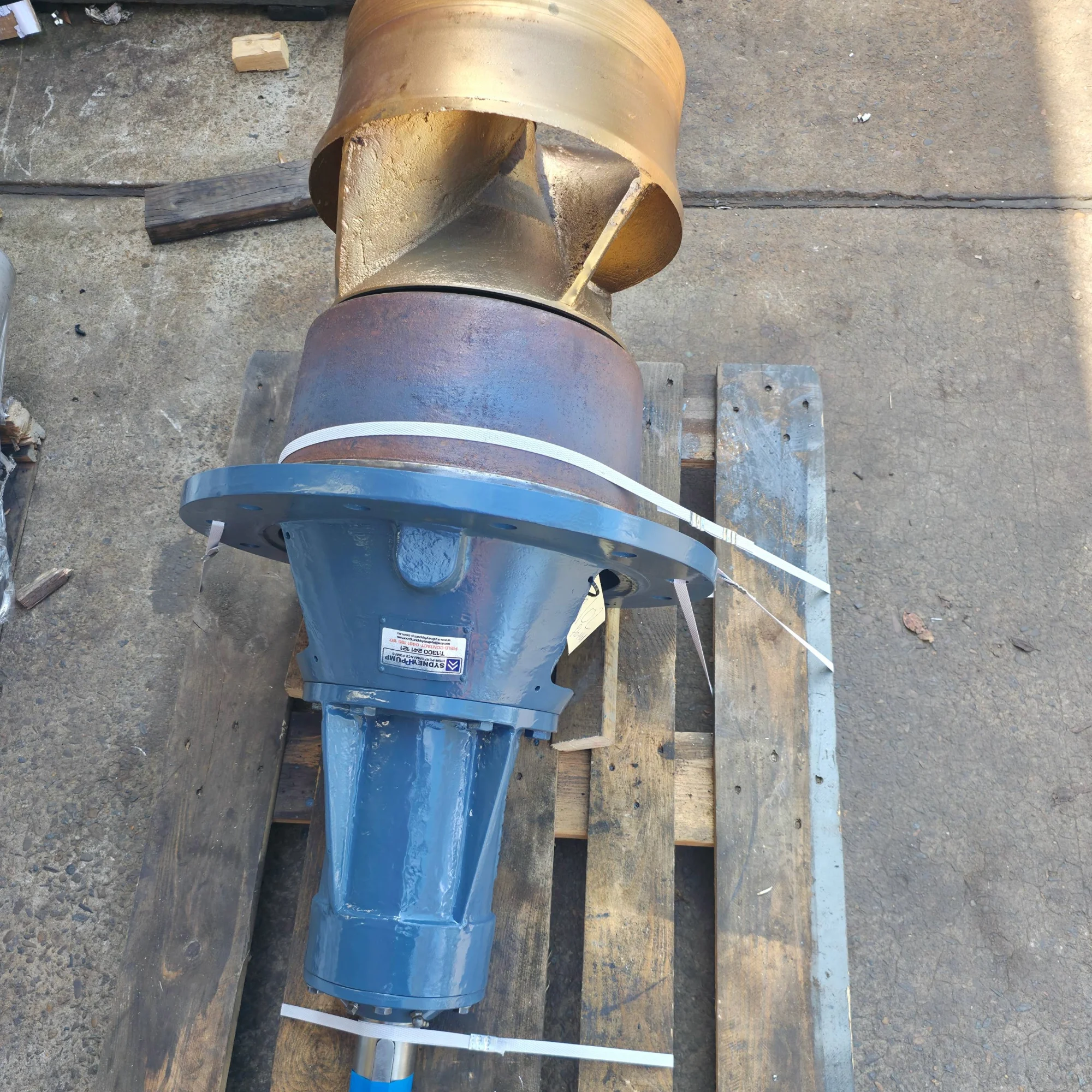 flo-worthing pumps-4 (4)
