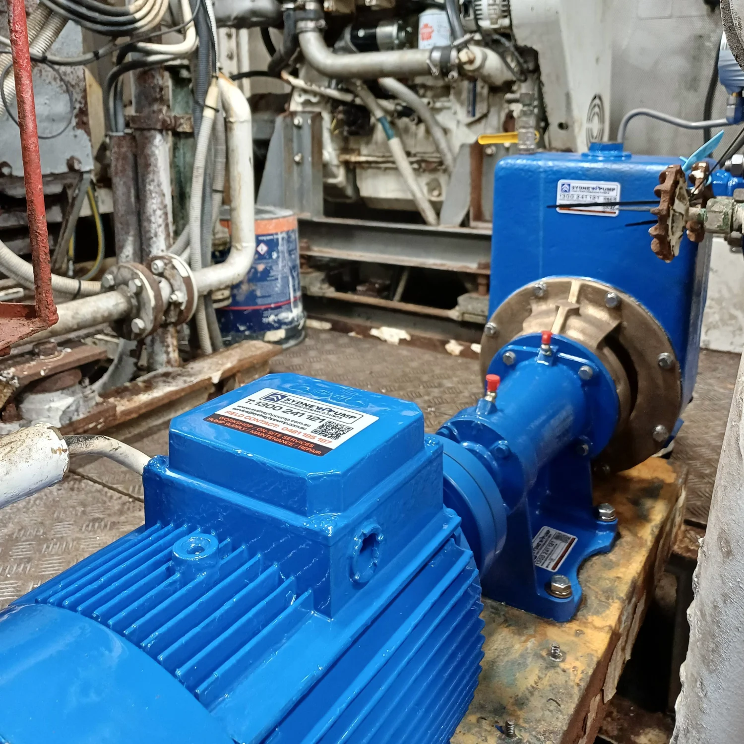 flo-worthing pumps-8 (4)